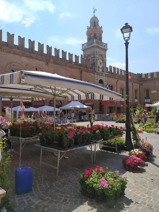 Apartment Appartamento Le Palmine Cento